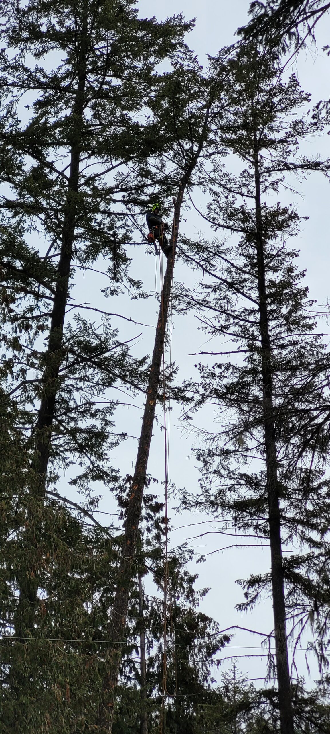 Making his Way Up